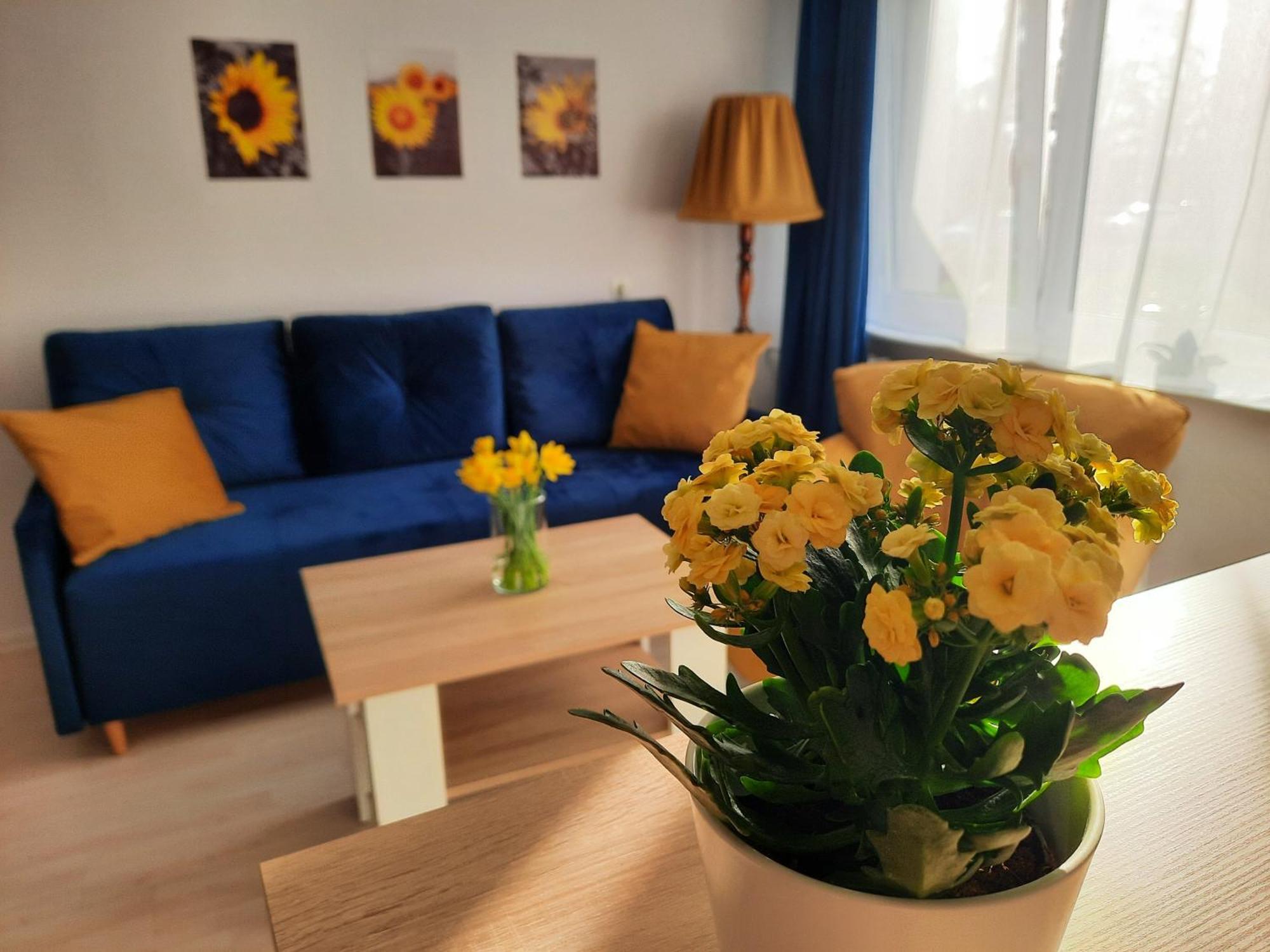 Apartament Baltycka Sardynka Ustka Kültér fotó